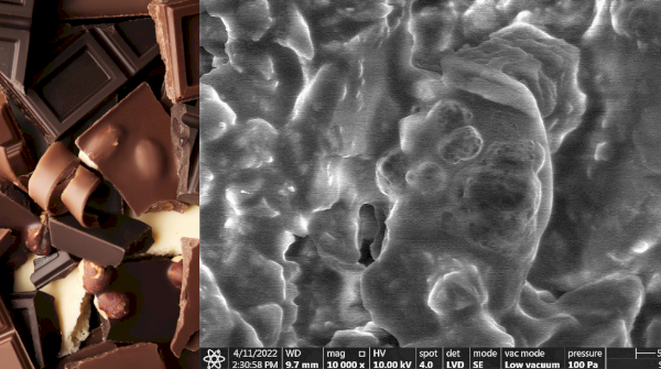 Czekolada pod skaningowym mikroskopem elektronowym (SEM)